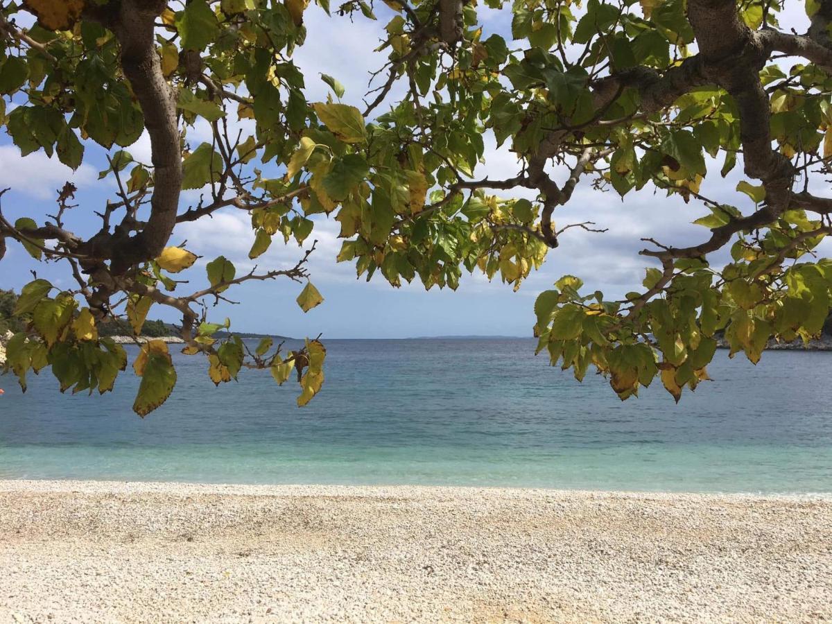 Steni Vala Alonissos Chelidoniaヴィラ エクステリア 写真