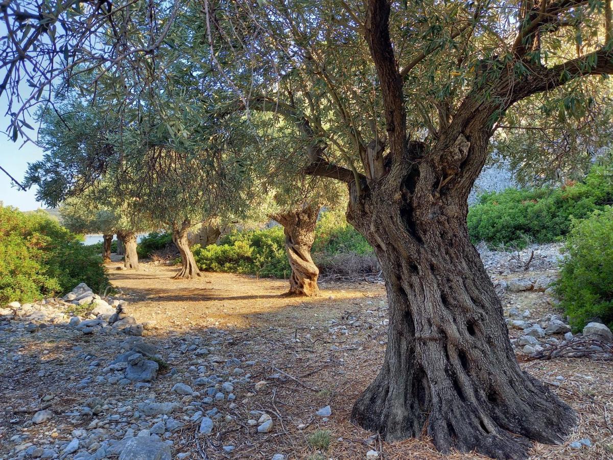 Steni Vala Alonissos Chelidoniaヴィラ エクステリア 写真